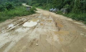 Akibat Sering Diguyur Hujan, Jalan Provinsi Riau Didesa Sei Kandis Kembali Rusak