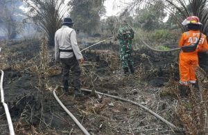 Babinsa Koramil 04/PKL Kuras Lakukan Pendinginan Bekas Kebakaran Hutan