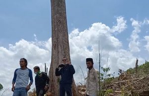 Pertemuan Antara Manajemen PT. Arara Abadi dengan LAMR Belum Temui Titik Terang