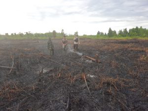 Ketahuan Bakar Lahan Buka Kebun Nenas, Pelaku Diamankan Polsek Tambang