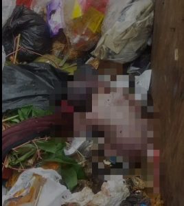 Petugas Kebersihan Depok Temukan Mayat Bayi Laki-laki di Bak Mobil Sampah