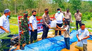 Wujudkan Kampung Tanguh, 5.000 Ekor Bibit Ikan Nila dan Bibit Semangka Diberikan Ke Warga