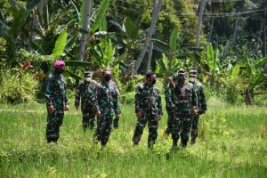Wakasal Tinjau Lokasi Ketahanan Pangan TNI AL di Lampung