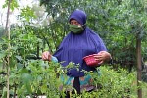 Program PKH Berikan Dampak Positif pada KPM di Wilayah Boyolali