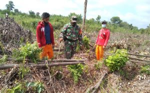 Babinsa Koramil 04/PKL Kuras Bersama RPK Patroli Karhutla Hutan TNTN