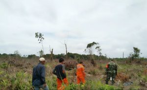 Babinsa Koramil 04/PKL Kuras Rutin Patroli dan Sosialisasikan Cegah Karhutla