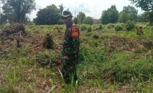 Menjelang Lebaran Idul Fitri, Babinsa Koramil 07/Kampar Terus Aktif Laksanakan Patroli Cegah Terjadinya Karhutla