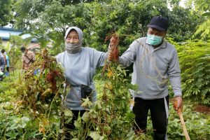 Kemensos Gelar Hari Lanjut Usia Nasional (HLUN) ke-25