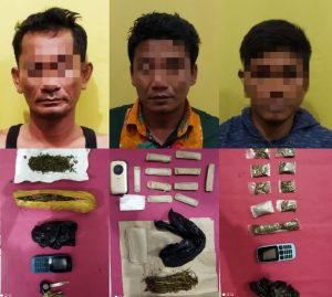 3 Orang Jaringan Pengedar Daun Ganja Kering Diringkus Resnarkoba Polres Kampar di 3 TKP