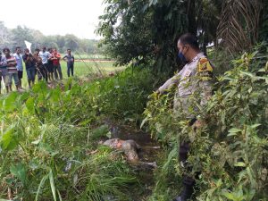 Warga Kampar Utara Temukan Jasad Wanita Tak Dikenal Didalam Parit, Polisi Masih Selidiki Identitasnya