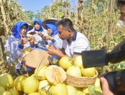 Siapkan Putra Daerah Aceh Jadi Prajurit, TNI AL Gunakan Siasat Melon Golden F1