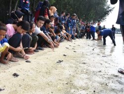 Jaga Kesinambungan Ekosistem, TNI AL Lepas Ratusan Tukik di Pulau Payung