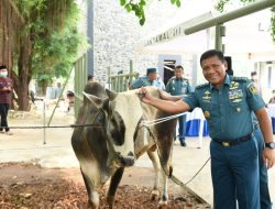 Tumbuhkan Kepedulian, Wakasal Serahkan Hewan Kurban
