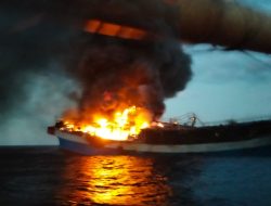 Setelah Berhasil Selamatkan ABK Kapal Terbakar, TNI AL Gagalkan Penjualan Baby Lobster Secara Ilegal