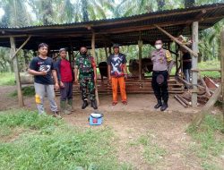 Cegah PMK, Petugas Gabungan Laksanakan Vaksinasi Pada Sapi
