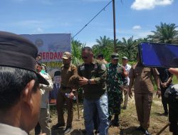Babinsa Koramil 16/Tapung Hadiri Panen Perdana Umbi Porang Oleh PJ. Bupati Kampar