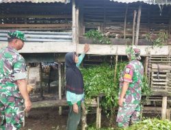 Babinsa Komsos Dengan Peternak Kambing di Desa Binaan