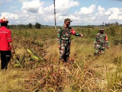 Babinsa 03/Bunut Bersama MPA Patroli Karhutla