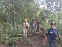 Walaupun Musim Hujan, Babinsa Koramil 15/KK Tetap gencar Rutin Patroli dan Sosialusasi Pencegahan Karhutla