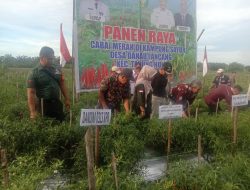 Babinsa Koramil 16/Tapung Hadiri Kegiatan PJ Bupati Kampar Acara Panen Raya Cabai 