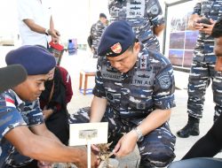TNI AL Pulihkan Terumbu Karang di Perairan Hansisi Kupang