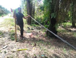 Bahaya, Kabel Listrii PLN Tak Terurus Membuat Warga Resah