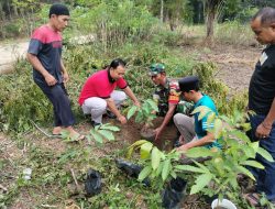 Peduli Lingkungan, Babinsa Koramil 16/Tapung Bersama Warga Melaksanakan Penghijauan Dengan Penanaman Pohon