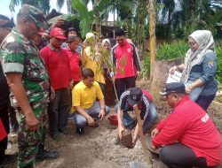 Babinsa Kelurahan Ukui Hadiri Kegiatan Penanaman Perdana Tanaman Pola Perkarangan