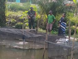 Babinsa Koramil 01/Bkn Dampingi Budidaya Ikan Keramba di Kampung Pancasila