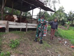 Cegah Penularan Penyakit PMK, Babinsa Terus Lakukan Pengecekan dan Pendataan Hewan Ternak Milik Warga