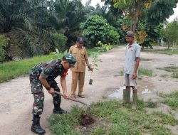 Agar Lingkungan Hijau, Babinsa Koramil 16/Tapung Bersama Perangkat Desa Tanam Pohon di Sekitar Kantor Desa