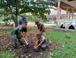 Agar Lingkungan Tetap Lestari, Babinsa Koramil 16/Tapung Bersama Warga Tanam Pohon Untuk Penghijauan