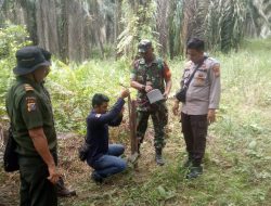 Babinsa Koramil 03/Bunut melaksanakan Pendampingan Tim BBSKDA Pelalawan Pengecekan Kamera Trip