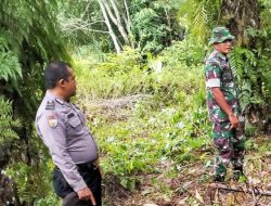 Babinsa Bersama Bhabinkamtibmas Laksanakan Patroli Karhutla