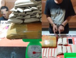 Pengedar Narkoba Daun Ganja Kering di Ringkus Satnarkoba Polres Kampar di Desa Pulau Gadang