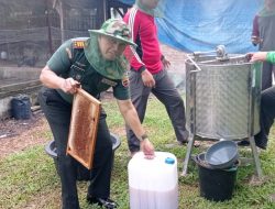 Danramil 06 Siak Hulu Panen Madu Lebah Bersama Warga Di Desa Sialang Kubang