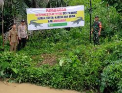 Awas Ada Buaya ! Tim Gabungan Pasang Spanduk Himbauan Larangan Beraktivitas di Sepanjang Sungai