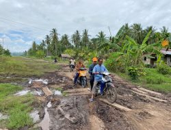 Syahrul Aidi Perjuangkan Pembangunan Jalan Lintas Bono dan Lubuk Agung-Batas Sumbar Melalui APBN
