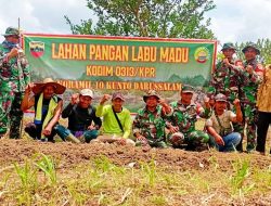 Koramil 10 Kunto Darussalam Kodim 0313/KPR Laksanakan Penanaman Labu Madu