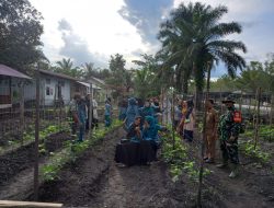 Jalin Keakraban Babinsa Praka Kardova Sinaga Bantu Ibu -Ibu PKK Goro Pembersihan Tanaman Sayuran dan Lingkungan Desa