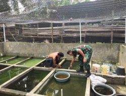 Babinsa Koramil 14/Kepenuhan Komsos Bersama Pembudidaya Ikan Cupang