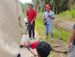 Kecelakaan Kerja Kembali Terjadi di PT Serikat Putra