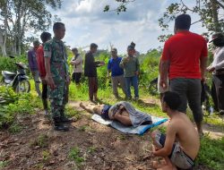 Ada Penemuan Mayat di Kawasan Hutan TNTN Sektor Desa Bagan Limau