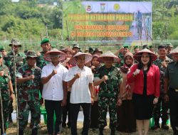 Dukung Ketahanan Pangan, Kodim 0313/Kpr Tanam 1 Hektar Labu Madu