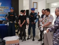 Nilainya Fantastis, TNI AL Berhasil Gagalkan Penyelundupan Benih Lobster Gunakan Pesawat Udara