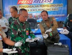 Dalam Sepekan, TNI AL Gagalkan Dua Kali Penyelundupan Satwa ke Luar Negeri Lewat Udara
