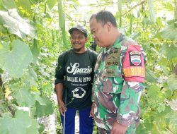 Giatkan Ketahanan Pangan, Babinsa Koramil 13/Rokan Komsos Dengan Petani Sayur Didesa Binaan