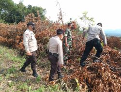 Babinsa Koramil 13/Rokan Selalu Aktif Laksanakan Patroli Karhutla