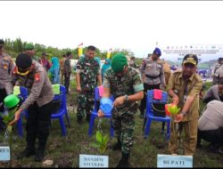Dandim 0313/Kpr Ikut Puncak Penanaman Mangrove Nasional Secara Serentak Jajaran TNI di Seluruh Indonesia