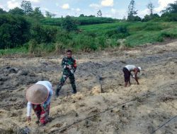 Serda Gunawan Babinsa Koramil 13/Rokan Bantu Warga Tanam Bibit Jagung